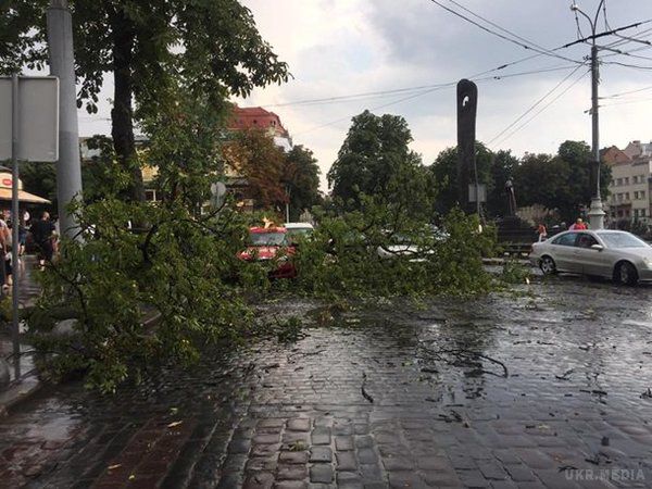 Під вечір у п'ятницю, 21 липня, по Львову пронеслася гроза -  вітер валив дерева і зривав дахи(фото). В результаті були пошкоджені автомобілі і заблокована дорога.