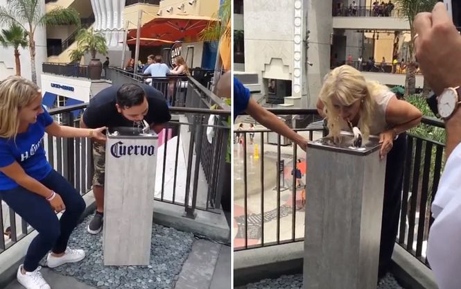 Жителі Лос-Анджелеса отримали можливість безкоштовно насолодитися текілою. У місті встановили три фонтанчика, де можна продегустувати напій.