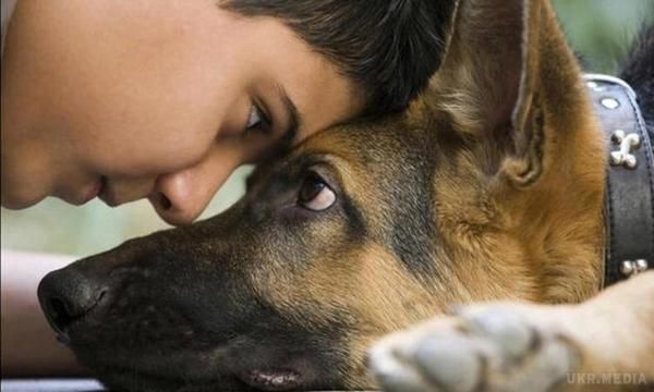 Собаки краще розпізнають людей, аніж детектор брехні. Науковці підтвердили і пояснили той факт, що собаки розпізнають злих людей.