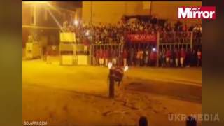 Бик, якому підпалили роги, скоїв суїцид на очах у натовпу (відео). Трагедія сталася в невеликому іспанському містечку Фойос під час народного свята – фієсти.