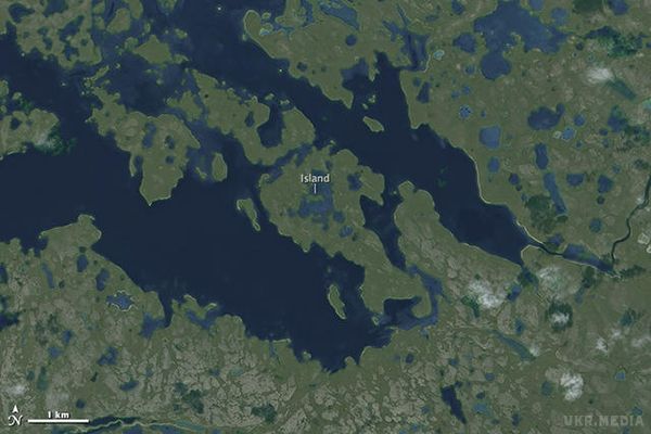 Вчені NASA показали унікальний острів у озері. Одне лише розташування цього острова вас точно вразить.