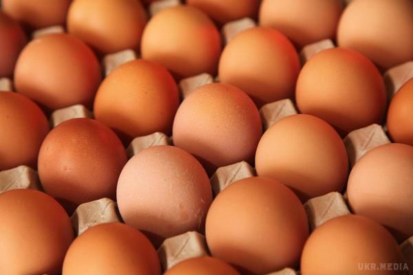 З магазинів Євросоюза  вилучені мільйони отруйних яєць. Мільйони яєць вилучено з магазинів і складів в Нідерландах, Німеччині та Бельгії,