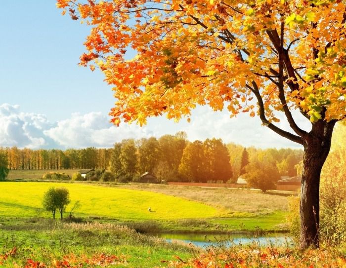 Коли в Україні почнеться осінь –  прогноз синоптика. В Україні після 10 серпня очікується похолодання і, по суті, почнеться осінь.
