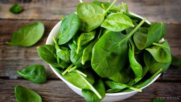 Ось який продукт омолоджує мозок. Шпинат і калі не випадково вважаються корисними. Зелені листові овочі містять лютеїн – важлива сполука, яку не виробляє тіло, а, значить, її потрібно вживати з їжею.