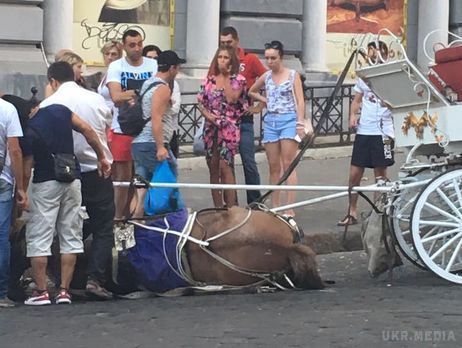 В Одесі від спеки в обморок впав кінь. Впав від спеки кінь, запряжений у прогулянкову карету в Одесі, перехожі рятували, поливаючи водою.