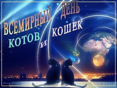 Красивий віршик про милих кішечок. Сьогодні Міжнародний день кішок і котів.