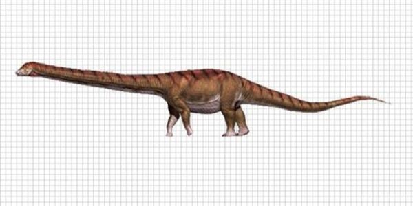 Фахівці показали, як виглядала найбільше істота в історії планети (Відео). Їхня вага дорівнювала 69 тоннам. 