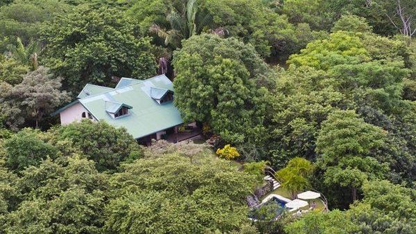  Знаменитий голлівудський актор Мел Гібсон виставив на продаж шикарну віллу за 30 млн доларів(фото). На території знаходяться три особняка, які оточені приватними джунглями, також власнику належить білосніжний пляж.
