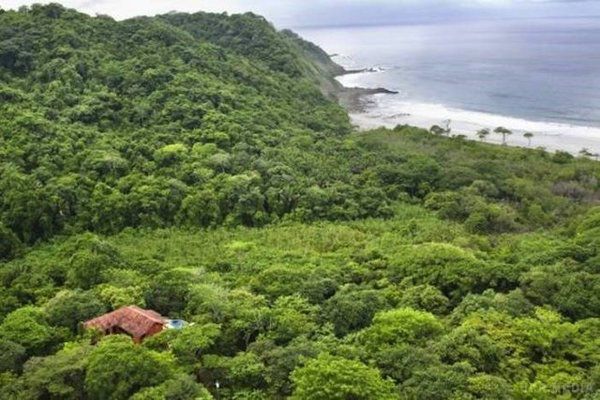  Знаменитий голлівудський актор Мел Гібсон виставив на продаж шикарну віллу за 30 млн доларів(фото). На території знаходяться три особняка, які оточені приватними джунглями, також власнику належить білосніжний пляж.