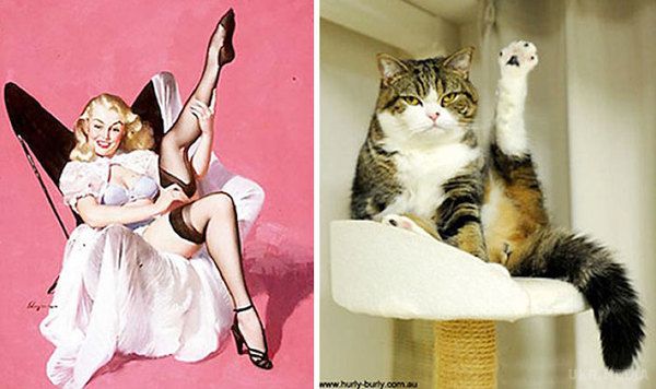 Що буде, якщо дівчат з пін-ап листівок замінити на котів. Солодкі кицьки.