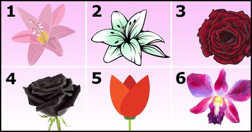 Виберіть найкрасивішу квітку і дізнайтеся секрети вашої особистості. Квіти - одна з найкрасивіших і символічних речей в природі.