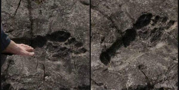 У Китаї знайшли загадковий слід велетня. Конспірологи переконані, що на Землі існували велетні і доказом тому є знайдений у провінції Гуйчжоу, Китай, величезний слід.