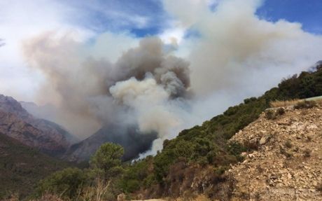 В Європі знову вирують лісові пожежі. У Греції, Португалії та Франції знову спалахнули лісові пожежі.