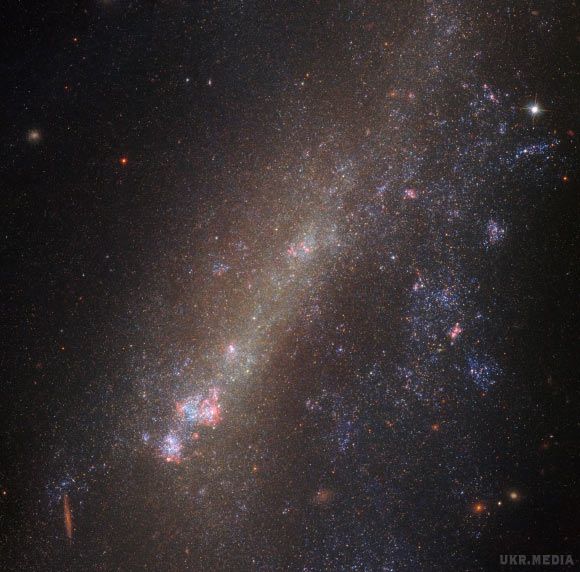 У NASA показали розірвану галактику. Космічне агентство США поділилося знімком пошматованої галактики.