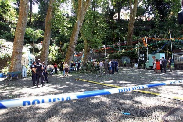 На острові Мадейра впало величезне дерево: загинули 11 людей. Щонайменше 11 осіб було вбито деревом, яке впало на людей під час релігійного свята на португальському острові Мадейра.