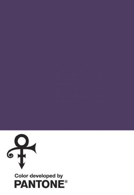 Створено колір на честь співака Прінса. Інститут Pantone додав в палітру нові кольори – Love Symbol # 2. Він присвячений американському співаку Прінсу і його відомій композиції Purple Rain.