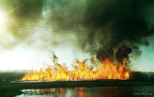 У Донецькій області бойовики підпалили ліс і поля, згоріли будинки місцевих жителів. Бойовики використовували запалювальні боєприпаси.