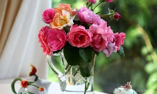 Секрети , які допоможуть надовго зберегти свіжість квітів у вазі. Екстравагантні троянди, пишні півонії, ніжні конвалії, тендітні тюльпани, запашна бузок...серце завмирає від захвату, коли тобі з приводу і без дарують букет квітів. 