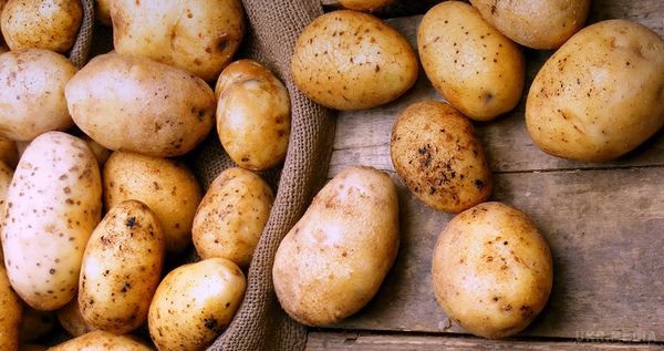 За даними ДФС, більше всього українського картоплі купила Білорусь. Державна фіскальна служба повідомила, що Україна за січень-липень 2017 року імпортувала картоплю на 2,02 млн дол.