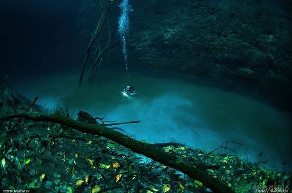 Як виглядає містична підводна ріка у Мексиці. Інколи природа сама створює дещо магічне