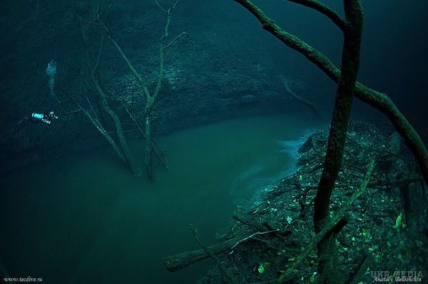 Як виглядає містична підводна ріка у Мексиці. Інколи природа сама створює дещо магічне