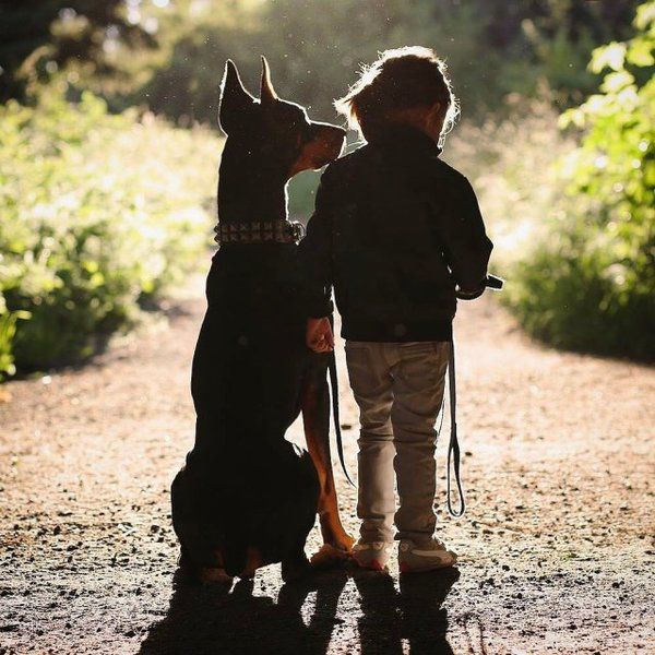 Недоторканні: дивовижна дружба маленької дівчинки і величезної собаки (Фото). Сієнна і Будда - двоє нерозлучних друзів, які зворушать серце кожного.
