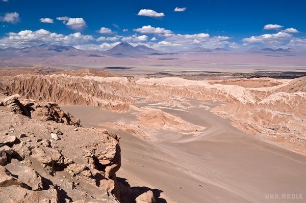 Розцвіла найбільш посушлива в світі пустеля. Вражаюче фото. Чилійська пустеля Атакама, яка вважається найбільш посушливою в світі, в буквальному сенсі, розцвіла, після серії злив, які пройшли ще взимку.