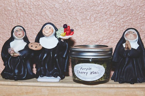 "Божественний бізнес": як черниці вирощують на продаж марихуану (Фото). Сестри з Долини і їх "скромний бізнес".