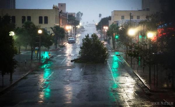 У мережі показали наслідки урагану "Харві" у США. В окрузі Форт-Бенд ураган змусив вибратися на дороги алігаторів.