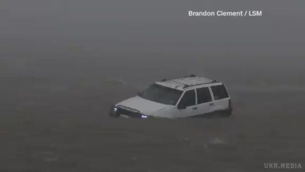 У мережі показали наслідки урагану "Харві" у США. В окрузі Форт-Бенд ураган змусив вибратися на дороги алігаторів.