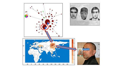 Як знайти злочинця, дізнавшись його коріння по ДНК. На чому ж грунтуються ці дослідження?