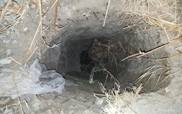 З Мексики до США прорили підземний тунель. У Мексиці нелегальні мігранти прорили підземний тунель в США.
