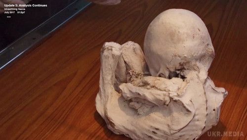 Вчені продовжують вивчення мумій інопланетян знайдених на плато Наска. На даний момент дослідники кажуть, що взяли у трехпалого «малюка» зразки тканин для тестування ДНК і радіовуглецевого аналізу.