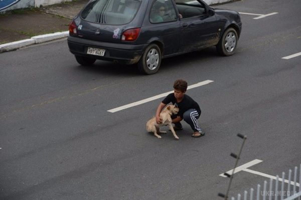 Цей 11-річний хлопчик вискочив на дорогу... Перехожі були вражені, коли дізналися навіщо він це зробив!. Маленький герой!