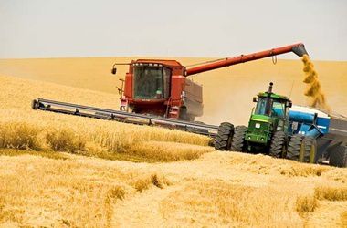 В цьому році зафіксована рекордна врожайність зернових. Міністерство аграрної політики зафіксував рекордну врожайність зернових