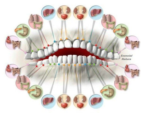 Читаємо по зубах про хвороби. Лікарі здивовані точністю методу.