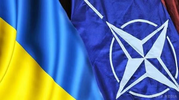 Представники НАТО перевірять армію України на відповідність своїм стандартам. До Києва їде делегація Альянсу.