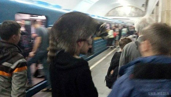 Пасажир шокував київську підземку. Живий єнот замість шапки на голові.