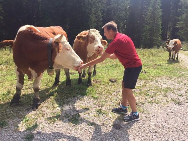 Олег Ляшко проводить агітацію серед телиць (фото). Епатажний політик проводить час серед стада корів.