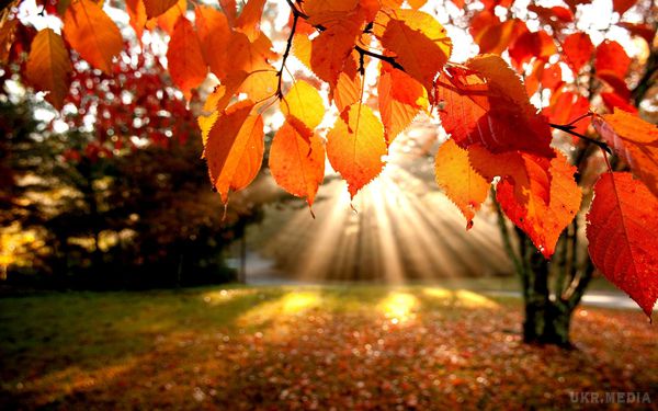 Якою буде погода восени: прогноз від синоптика. Вересень та жовтень 2017-го будуть холодним, а от листопад може здивувати незвичним для нього теплом.