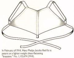 3 вересня - День народження бюстгальтера. Перший патент на винахід бюстгальтера під назвою Caresse Crosby був виданий 3 вересня 1914 року американці Мері Фелпс Якоб. 