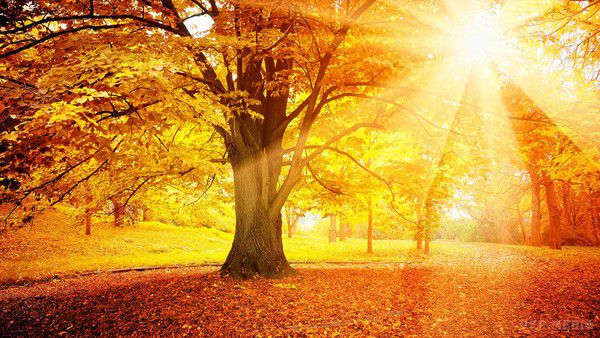 Заморозки і "спека": прогноз погоди на осінь. Бабине літо буде недовгим, в жовтні – перші заморозки, а ось листопад очікується "плюсовим".
