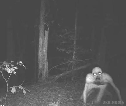 10 страшних кадрів з мисливських камер спостереження. В ліс більше ні ногою.