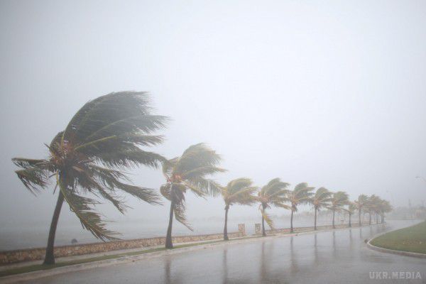 Більше 70 тисяч жителів Флориди сховалися в 890 притулках від урагану «Ірма».  Завдяки 890 сучасним притулкам вдалося сховатися від стихії понад 70 тис. жителів.