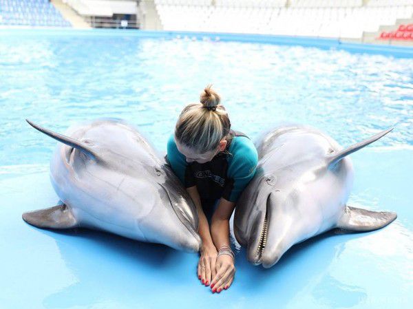 Віра Брежнєва поділилася милими фото з дельфінами. Відома українська співачка Віра Брежнєва поділилася знімками і емоціями від спілкування з дельфінами.