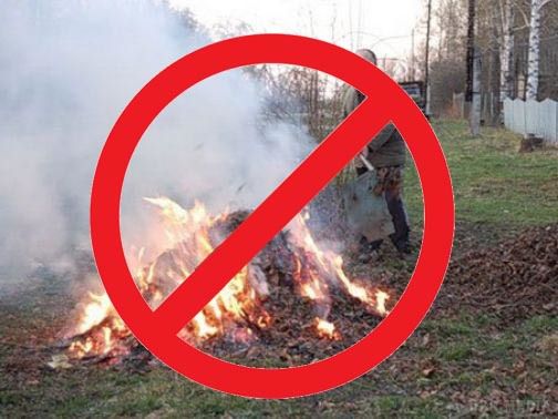 Фахівець пояснив, у чому небезпека для здоров'я від спалення листя. В Україні починається небезпечний сезон багать.