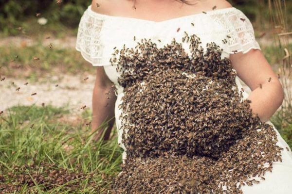 Фотосесія вагітної дами з бджолиним роєм викликала хвилю обурення в Мережі!. Ці кадри не просто виглядають шокуючими, вони такими і є — все насправді. Вагітність та 33-річної Емілі Мюллер справжня, і 20 000 бджіл були дуже навіть живими і майже злими, і постановочні фото лише тому, що їх знімали навмисне.