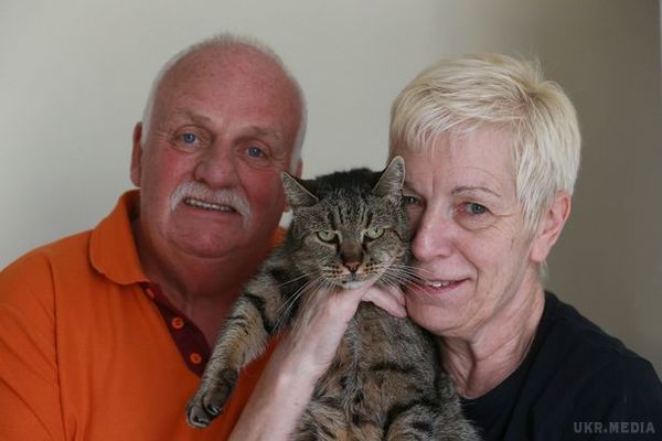 У Британії помер найстаріший кіт у світі Натмег. У кота були проблеми з диханням, а помер він у ветеринарній клініці в результаті серцевої недостатності. 