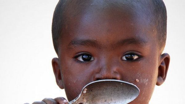 Скільки людей на Землі голодують. Шокуючі цифри. Представники наукової спільноти заявили, що кількість голодуючих на планеті стає дедалі більшою.