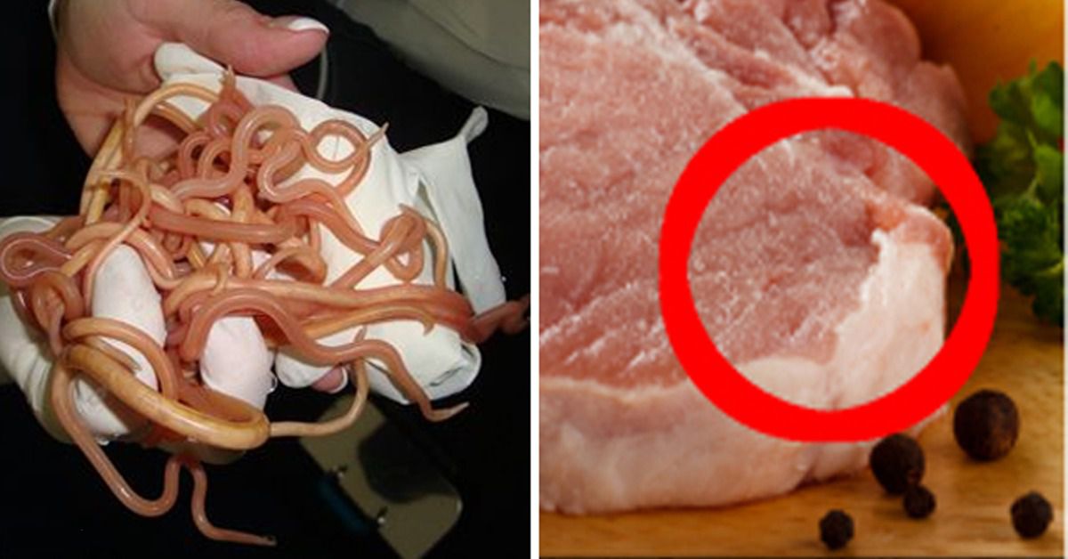 4 ризики для здоров'я, які безпосередньо пов'язані зі свининою. Свинина є досить поширеною їжею у всьому світі, але недавні дослідження показують, що це м'ясо може бути причиною розвитку серйозних хвороб у людини.